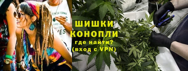apvp Аркадак