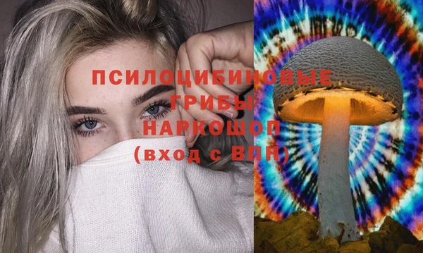 apvp Аркадак